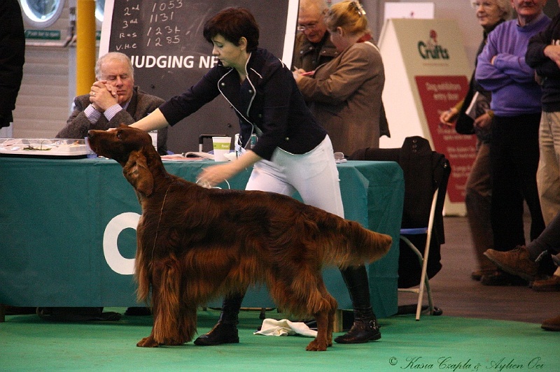 Crufts2011 855.jpg